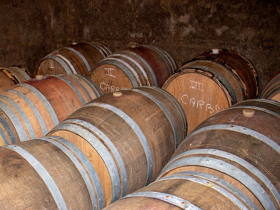 La Cave Apicole -  Domaine viticole et apicole de Sylvain RESPAUT & Olivier CROS à MONTNER